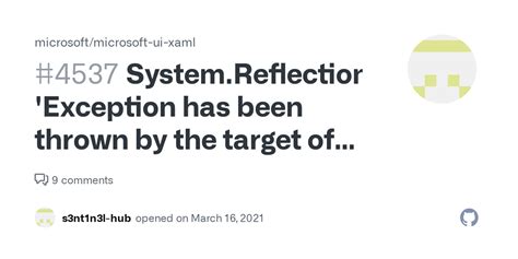 System Reflection Targetinvocationexception Exception Has Been Thrown