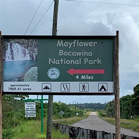 Bocawina Mayflower National Park All Seasons Belize