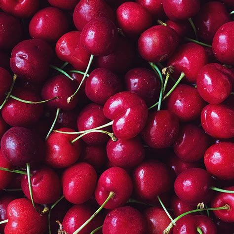 6 Reasons To Eat Cherries Health Benefits Of Cherries Superfruit Healthy