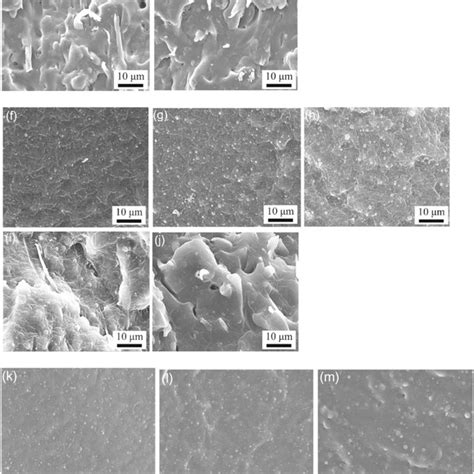 SEM Images Of Fracture Surface Of PA6 NBR Blends A 5 Wt PA6 34NBR