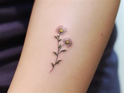 Daisy Tattoo Meaning Symbolism And Designs