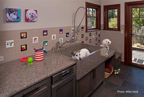 Mudroom Designs With Dog Showers Modern Ideas Diy Inspirations
