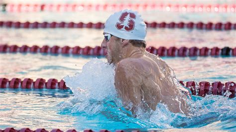 Ron Polonsky Mens Swimming And Diving Stanford University Athletics