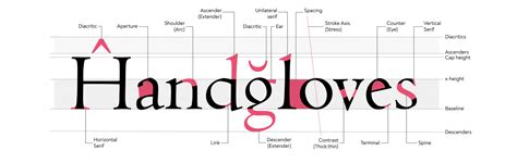 History And Evolution Of Typography Fontfabric™ Blog