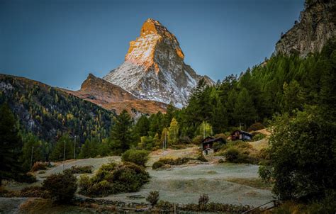 Wallpaper Forest Mountain Switzerland Alps Top Houses Switzerland