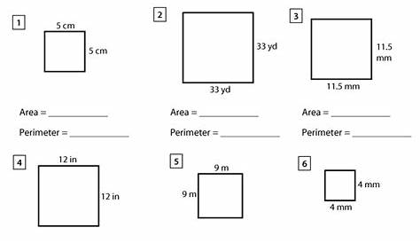 square area worksheets