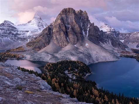 Mount Assiniboine At Sunrise During Larch Season 1612 × 1209 Oc R