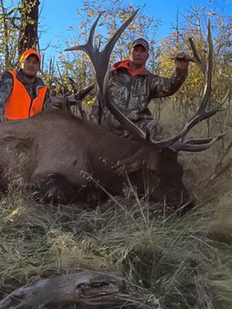 Colorado Elk Hunting Units Top 20 Colorado Otc Elk Units To Hunt For