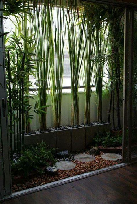 Small gardens, tiny terraces and petite patios may require a little more thought than larger spaces, but even the tiniest plot can be transformed into an. Bamboo plants in pot in a small balcony … | Apartment ...