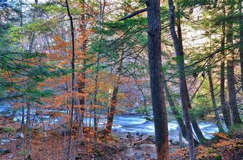 Elevation of Cazenovia Lake, Cazenovia, NY, USA - Topographic Map