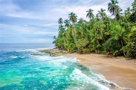 Costa Rica Manzanillo Beach Shutterstock294077225 — Travelpedia