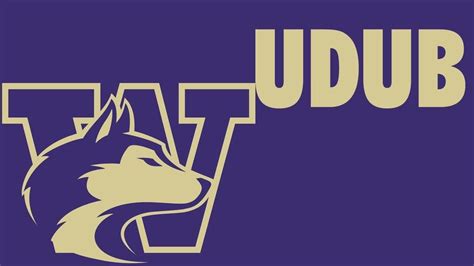 University Of Washington Huskies In 2022 University Of Washington