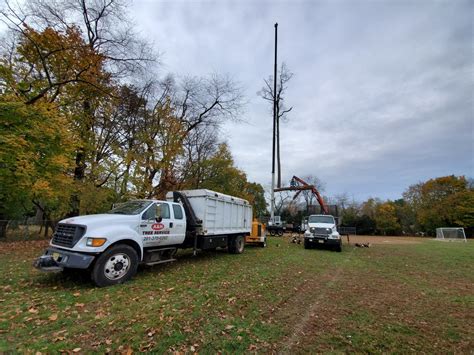 View listing photos, review sales history, and use our detailed real estate filters to find the perfect place. Large Tree Removal Services | A&H Tree Service | Bergen ...
