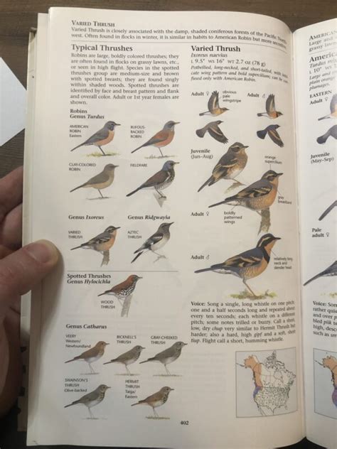 The 5 Best Field Guides For The Birds Of North America Gulo In Nature