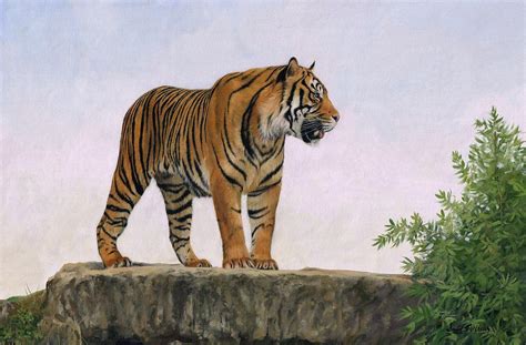 Tiger Painting By David Stribbling Pixels