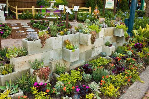 Create a succulent shelf with blocks and boards. 50 Best Succulent Garden Ideas for 2016