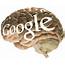 Googles Neural Networks Machines Brain Like Learning