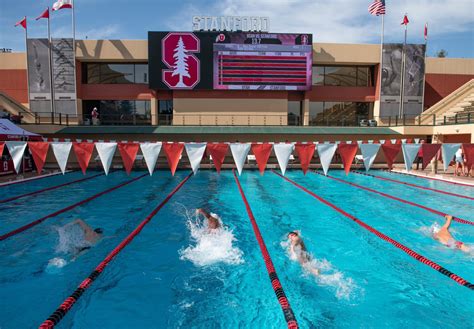 Stanford Adds Six To Swimmers To Mens Team For 2019 20
