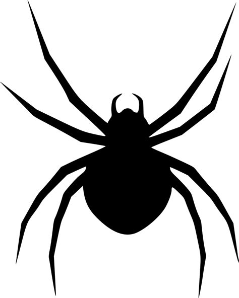 Spider Svg Png Icon Free Download (#562349) - OnlineWebFonts.COM