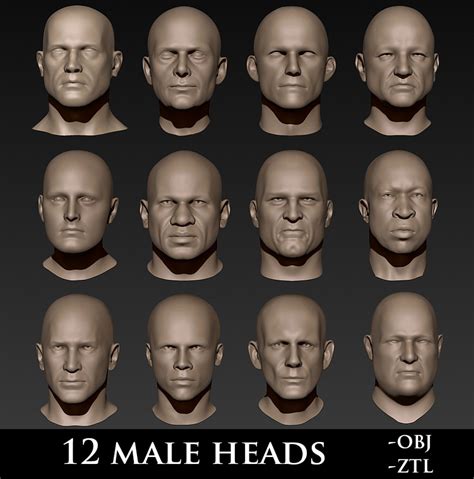 12 Male Heads