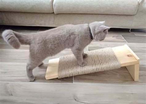 Decide on the size that works best for your cat(s). DIY a Sleek and Modern Cat Scratcher
