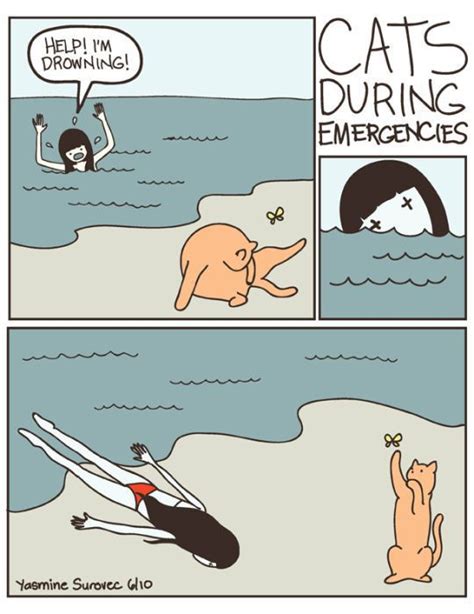 hilarious comics with cats 35 pics