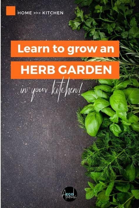 How To Start An Indoor Herb Garden For A Beginner Ecoanouk