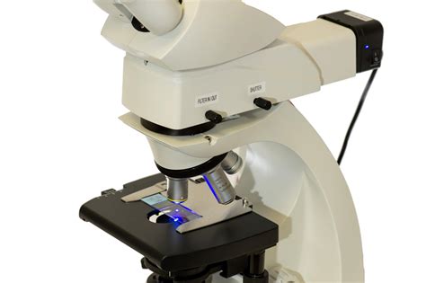 Leica Dm750 Leica Fluorescence Microscope Microscope Central