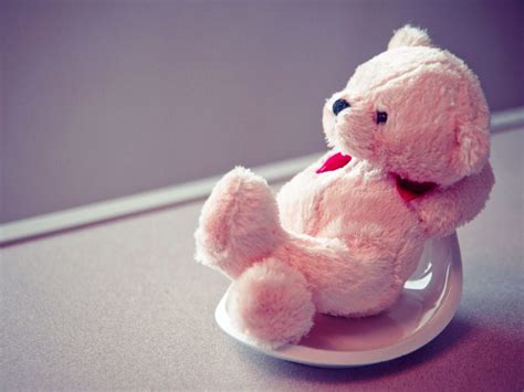 Aesthetic bear wallpapers top free aesthetic bear backgrounds. Teddy Bear Cute HD wallpaper | HD Latest Wallpapers