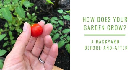 How Does Your Garden Grow — Anitra Rowe Schulte