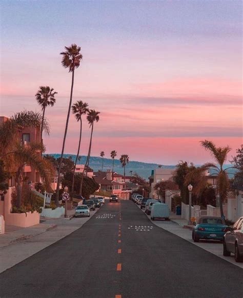 California Palms Palm Trees Road Sunset Los Angeles
