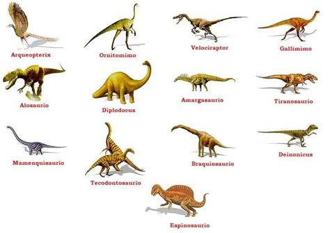 Diferentes Tipos De Dinosaurios Y Sus Nombres Reverasite