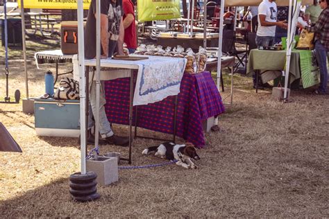 Dripping Springs Farmers Market 2-1-2017 | Life and Day to Day things