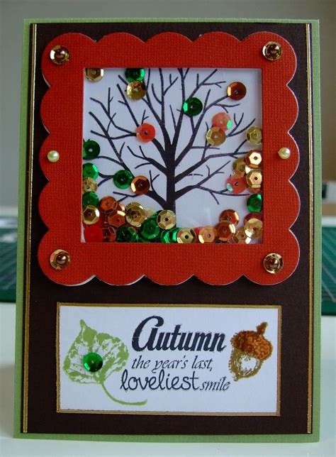 Made By Suzanne Uilenberg Shaker Cards Cards Frame