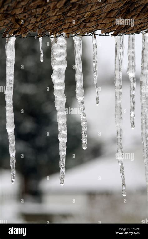 Icicles Hang Frozen From A Thatched Roof Stock Photo Alamy