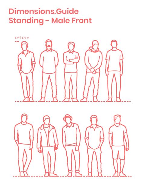 Standing Male Front Human Figure Sketches Silhouette Drawing