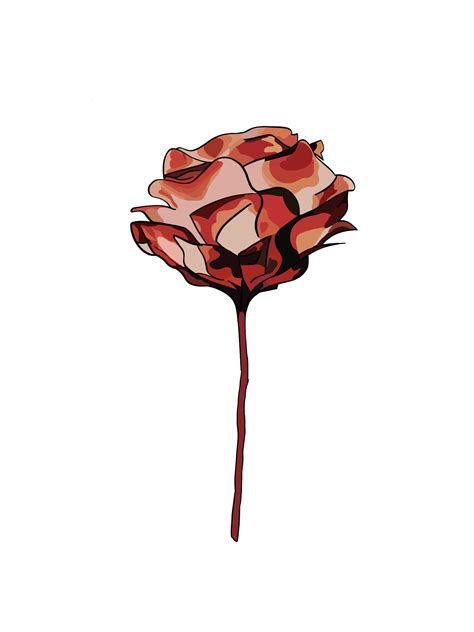 Shawn Mendes Flower Png