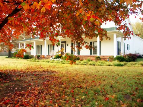 If those nutrients were bagged and sold, you'd pay money for them. Amazing Grays: Fall Front Porch DIYs: table and chalkboard