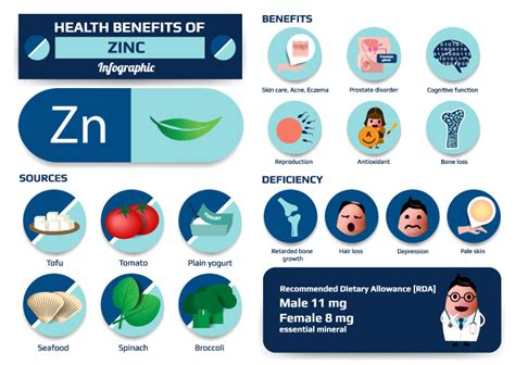 What Does Zinc Do For Your Body Top 10 Benefits Of Zinc For Men And