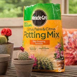Great all organic soil from espoma. Amazon.com : Miracle-Gro Cactus Palm and Citrus Potting ...
