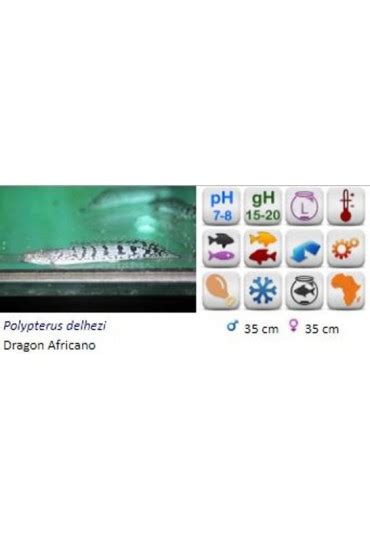 Ofertas de trabajo publicadas en toda españa. Garden Center Sopelana Peces - wallpaper