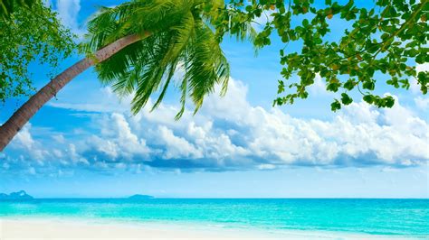 Tropical Beach Resorts Ultra Hd Desktop Background Wallpaper For 4k Uhd Tv Widescreen