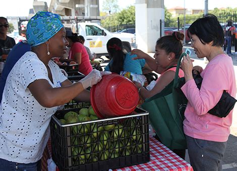 Последние твиты от alameda county community food bank (@accfb). Give - Alameda County Community Food Bank