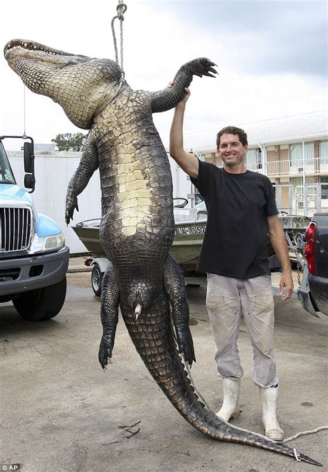 Louisiana Fisherman Catches And Kills 12ft Alligator With 15 Rounds Of