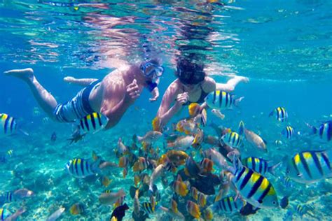 Nusa Penida Snorkeling Swim With Manta Ray With All Inclusive Bali