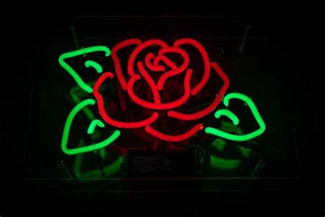 Rose Neon Sign Neon Signs Neon Painting Neon