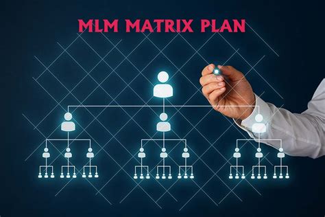 Ssoft Solutions Mlm Matrix Plan Software