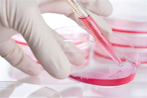Animals are not needed for medical research. What Method Can Be Used to Create a Cancer Cell and PBMC ...