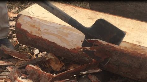 Maybe you would like to learn more about one of these? Debarking Pine Logs for the Log Cabin Build (Ep 5) - YouTube