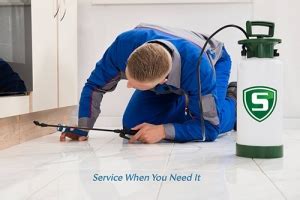 .based in atlanta georgia, specializes in commercial and home pest control recommendations, including bed bugs, mosquito, fire ant, roach, mice insect and rodent identification, professional pest control products and supplies, and recommended measures. Don't Do It Yourself Without Asking These Questions - Sovereign Pest Control